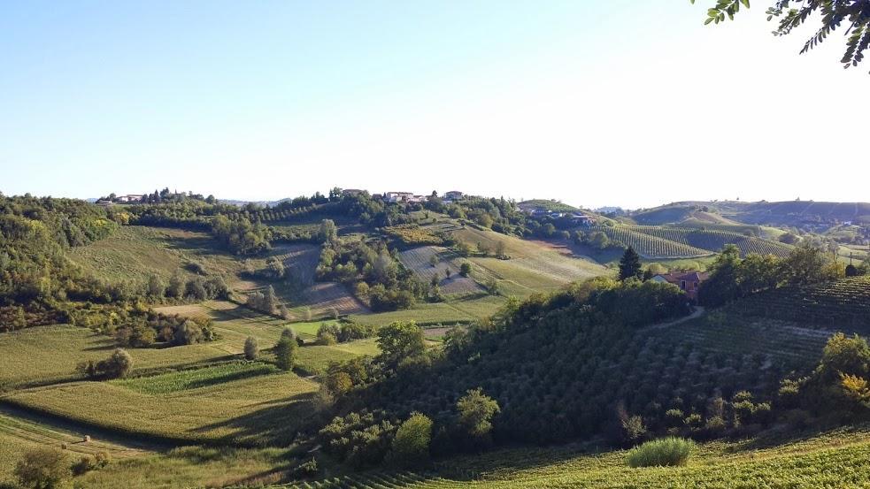 Alta Villa The Countryhouse Adults Only Boutique Bnb Vigliano d'Asti Zewnętrze zdjęcie